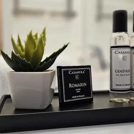 T2 De Standing Cote Plage, Les Pieds Dans L'eau Propriano (Corsica)