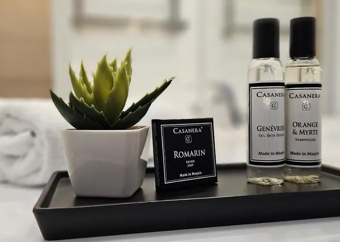 T2 De Standing Cote Plage, Les Pieds Dans L'eau פרופריאנו